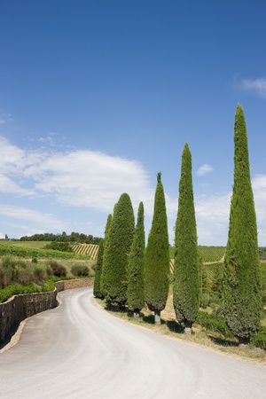 A typical landscape of Tuscanyの写真素材