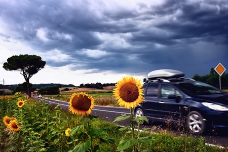 Landscape with sunflowers in Tuscany before a thunderstormの写真素材