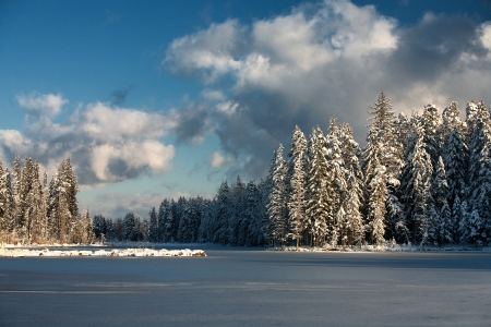 Lake in the ice and forest in winterの写真素材