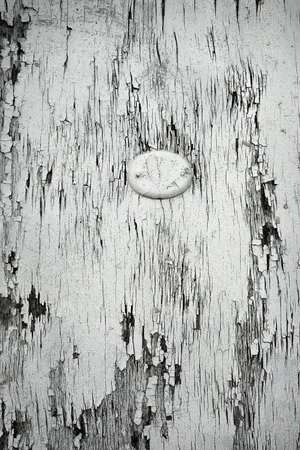 Oval plaque on the old cracked white doorの写真素材
