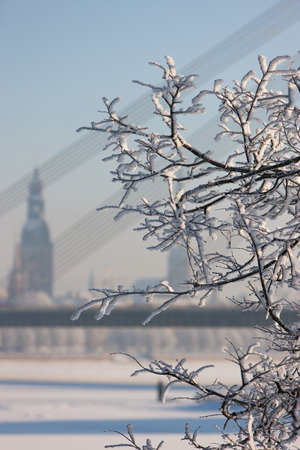 Vecriga on a cold dayの写真素材