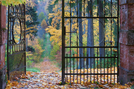 Antique wrought iron gate in autumn park with a footpath between the slender treesの写真素材