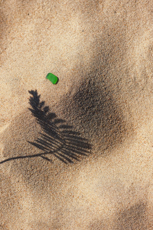 The shadow of the plant on yellow sand beach with a piece of bright green glass from the sea. Tilt-shift lens.の写真素材