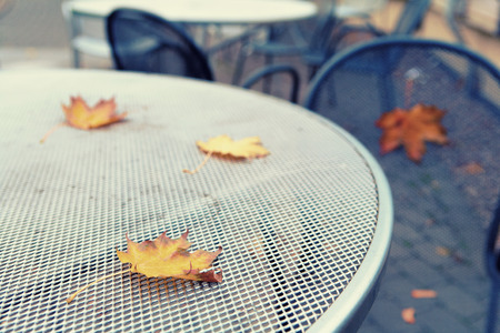 Latvia, Riga. Maple leaves on a modern table and chairs summer cafeの写真素材
