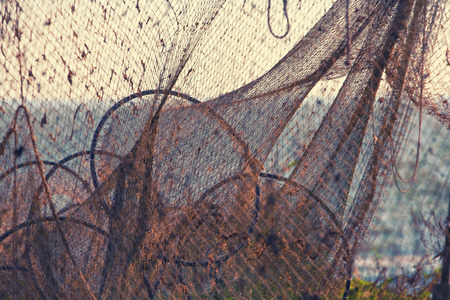 Circles and cell fishing nets on the shore of the sea in the evening lightの写真素材