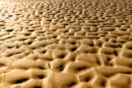 Texture of yellow sand beach of the Baltic after the tide on a sunny autumn day