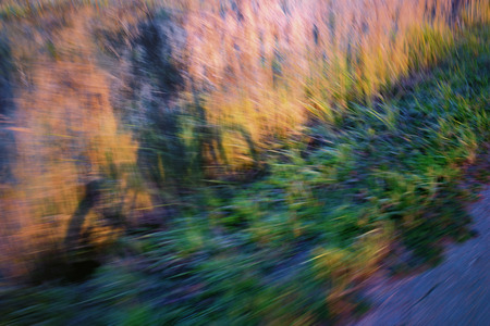The shadow of a passing cyclist at high speed yellow and green grass near the road. Blurryの写真素材