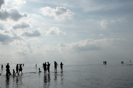 Families with children of tourists strolling along the beach in the summer Baltic Sea at low tideの写真素材