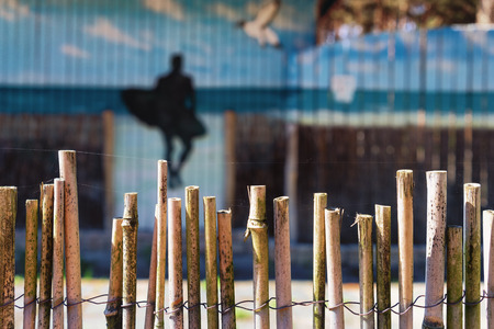 Wicker Fence made of bamboo with a driver in parking pattern on the wall with a beautiful seagullの写真素材