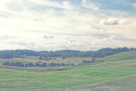 Fields and woods in the early morning at rural landscape with house and haystacksの写真素材