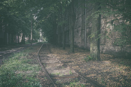 Mystical landscape with lost rails amidst a tree lane along a brick wall in the city of Rigaの写真素材