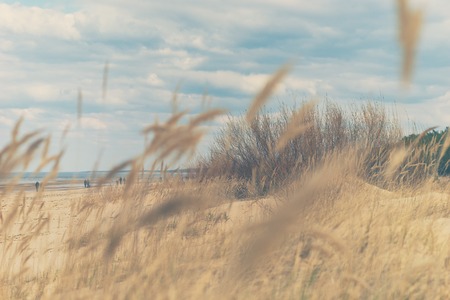 Walk on the beach of the Baltic Sea in the early spring on the sandy yellow dunes on a sunny dayの写真素材