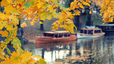 Boats with fallen leaves on the banks of the city canal in autumn in Octoberの写真素材