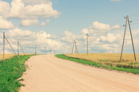 A dirt rural road with green grass on the side of the road runs alongside a yellow crop field. Along...