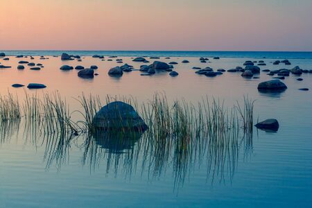 Large stones lie on the shallow coast of the Baltic Sea at sunset day. Latviaの写真素材