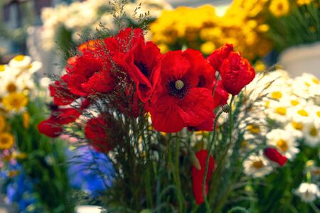 Background of bright field summer flowers in a bouquet of a sunny dayの写真素材