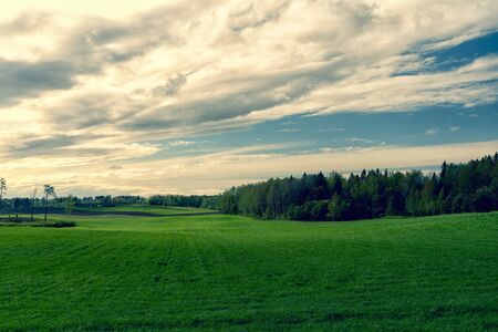 Green shoots of plants under a blue sky. The shadows from the clouds are stained in the field. Forest blooms on the horizon. Latviaの写真素材