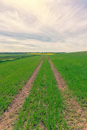 Climbing a hill with green grass you will see the landscape of the fields of Latvia. Highway with cars. Warm spring sunny dayの写真素材