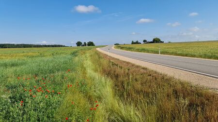 Asphalt road between agricultural fields of Latvia. Sunny summer bright day.の写真素材