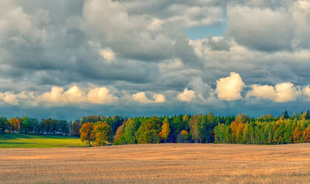 Mowed field against the background of autumn forest and rural house in cloudy weather with clouds in Latviaの写真素材