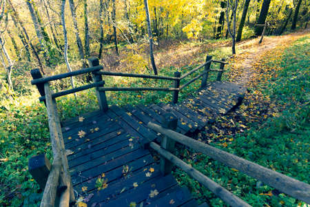 Hiking trail in the national park in autumn. Wooden steps on a steep slope in yellow leaves National park in Latvia. Siguldaの写真素材