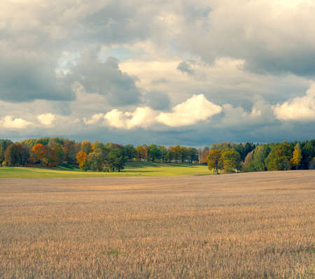 Mowed field against the background of autumn forest and rural house in cloudy weather with clouds in Latviaの写真素材