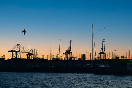 Sailing yachts in the port of Spain in winterの写真素材