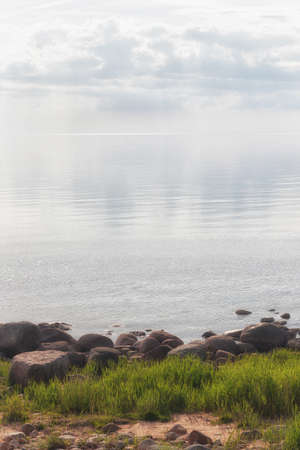 Sunny day in early spring on the yellow sandy beach of the Baltic sea, with green grass and rocks in the calm. Latviaの写真素材