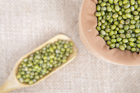 Mung beanの写真素材