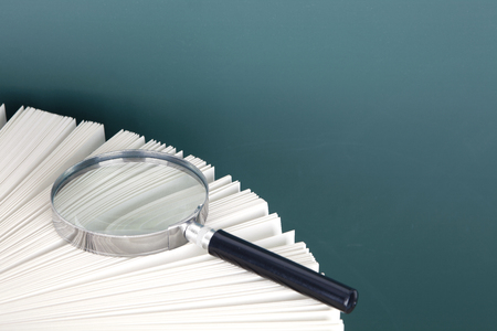 Magnifier on the page