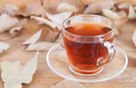 A cup of tea surrounded by dead leavesの写真素材