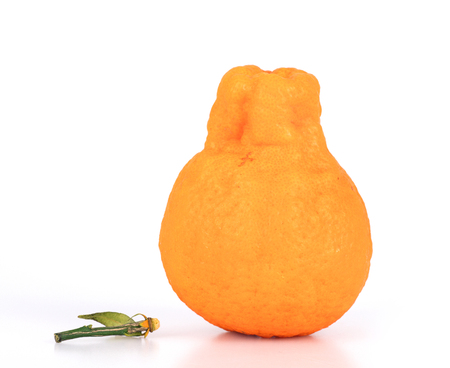 ugly fruitの写真素材