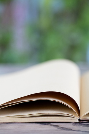 Open bookの写真素材