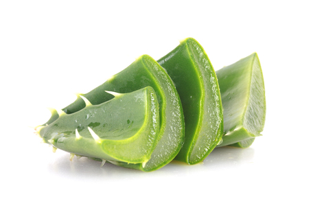 Aloe vera on white backgroundの写真素材