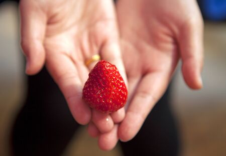 Strawberry in handsの写真素材