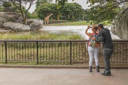 Chapultepec Zoo, Mexico City - October 29, 2009. A couple of young, anonymous lovers enjoy taking pictures at the Chapiltepec Zoo in Mexico City.のeditorial素材