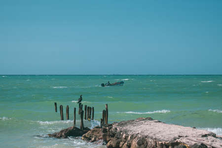 Bay landscape. Fisherman in motorboat in the background.
