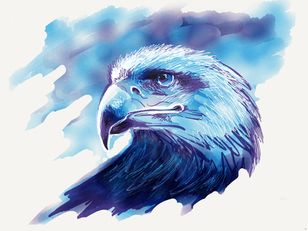 Eagle head drawingの写真素材