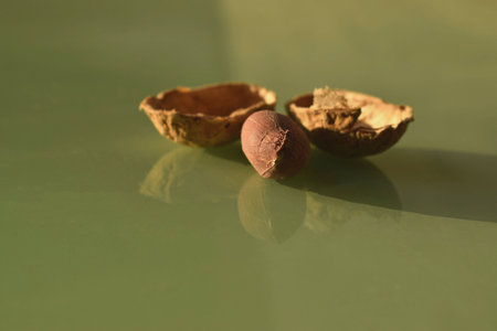 Peanuts, isolated and reflected in the rays of the sun on a green background, macro photographyの写真素材