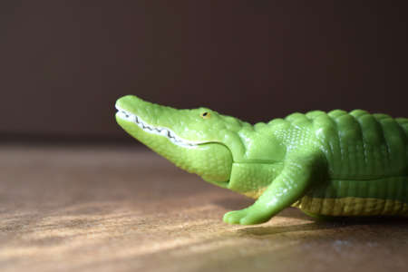 crocodile alligator. green children's toy. crocodile's muzzle in the sun. on a sandy background. Space for copying. Selective soft focus close-up.の写真素材
