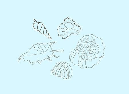 Unusual hand-drawn contour of seashells on a soft blue background. Marine themeのイラスト素材