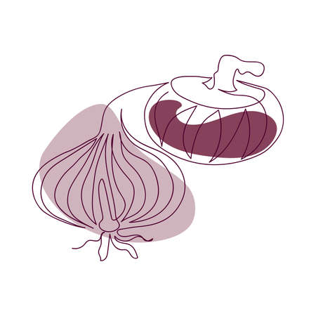 hand-drawn whole red onion and half an onion in one solid line against a background of abstract spots of light purple and burgundy on a white backgroundのイラスト素材