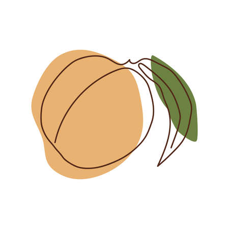 a peach with a leaf drawn in a solid line against a background of light orange and green spots on a white backgroundのイラスト素材