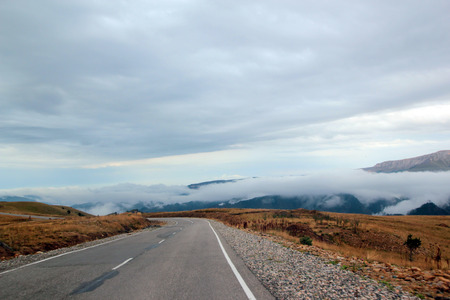 Road in the fogの写真素材