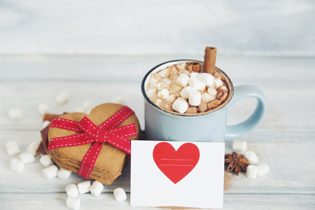 Hot chocolate with marshmallow and cookiesの写真素材