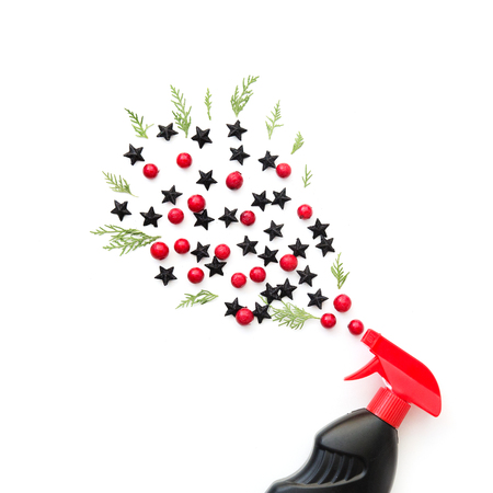 winter splash foliage on white background. Flat lay. Christmas Party conceptの写真素材