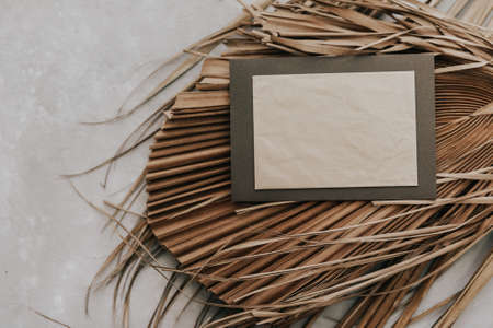 Stylish mock up of dry palm leaves. Moody minimal invitation concept. Still life photoの写真素材