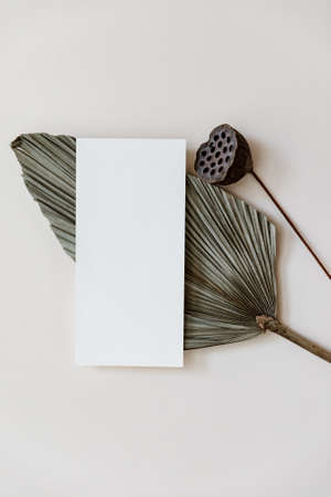 Minimal Summer stationery still life scene. Mock up with blank card and tropical palm leaf on beige...