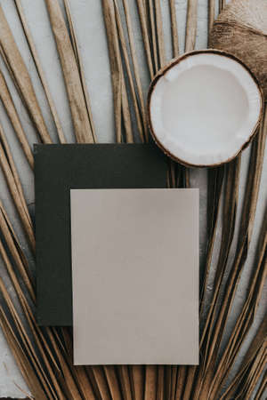 Creative summer minimal mock-up. Dried palm leaves and coconut on neutral background. Still life minimal concept. Flat lay, top view, copy space, squareの写真素材