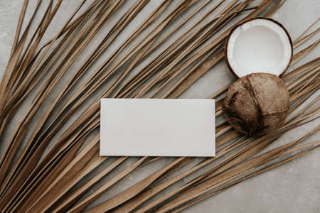 Summer stationery still life with blank paper card, fresh coconut and dry palm leaves on stone background. Minimal boho Mockup invitation.の写真素材